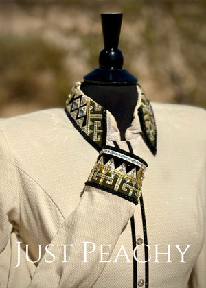 Lindsey James Show Clothing western horse show vest and day shirt set