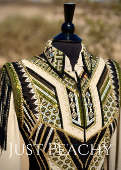 Lindsey James Show Clothing western horse show vest and day shirt set