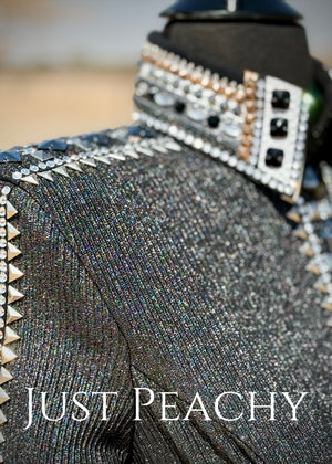 Chelsea Couture Show Clothing {Small}