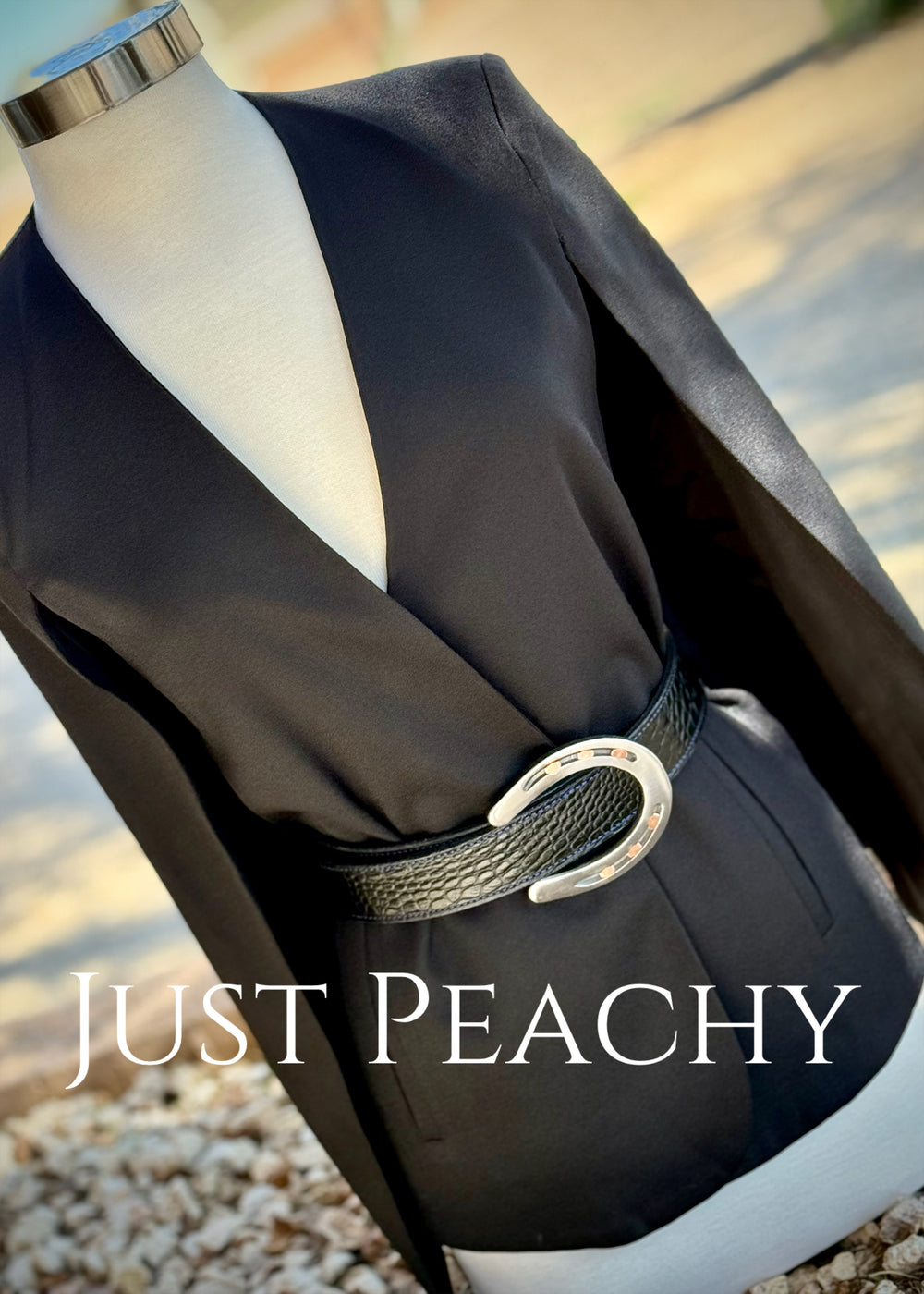 Horse Shoe Belt Buckle on Black Western Belt