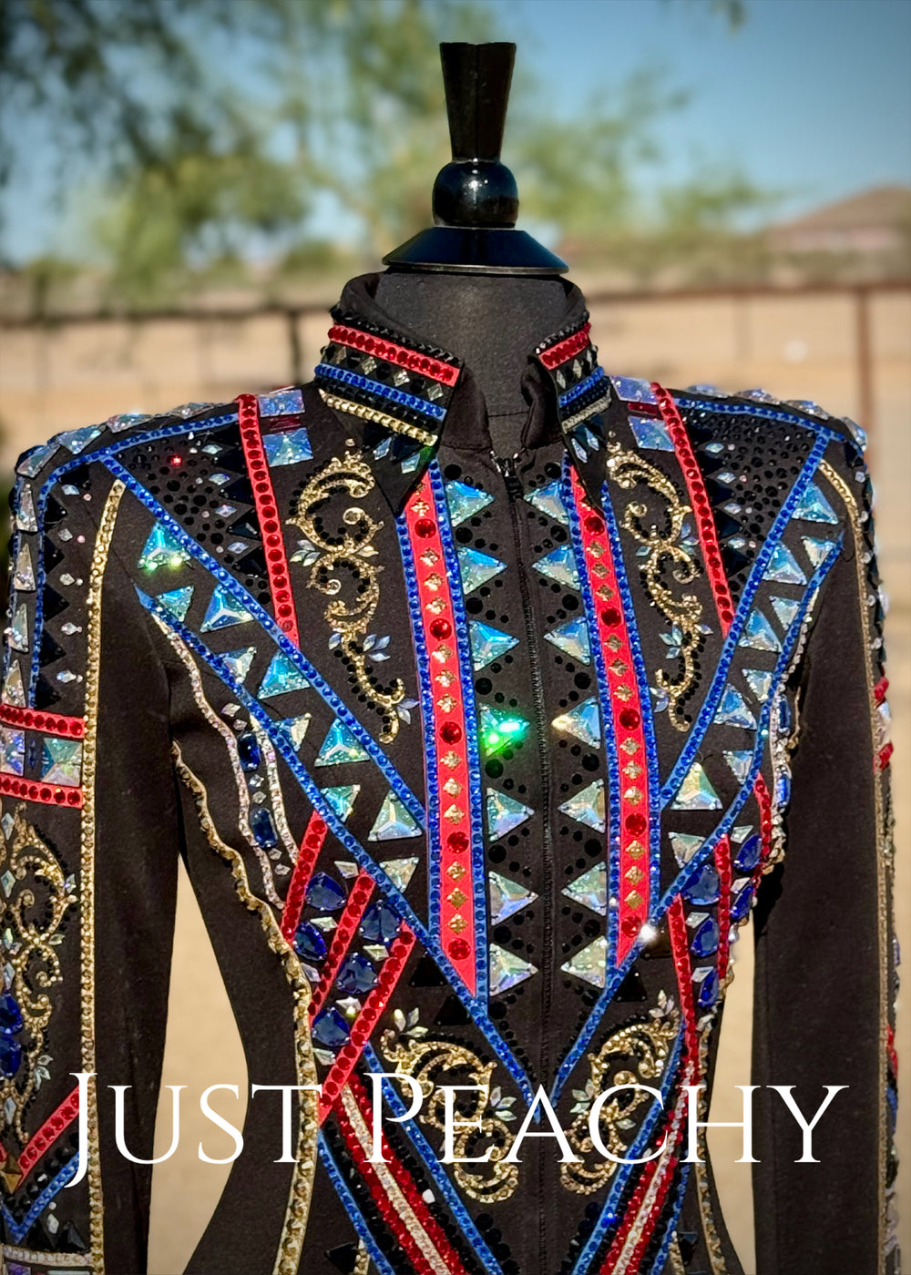 Lindsey James Show Clothing {Small}