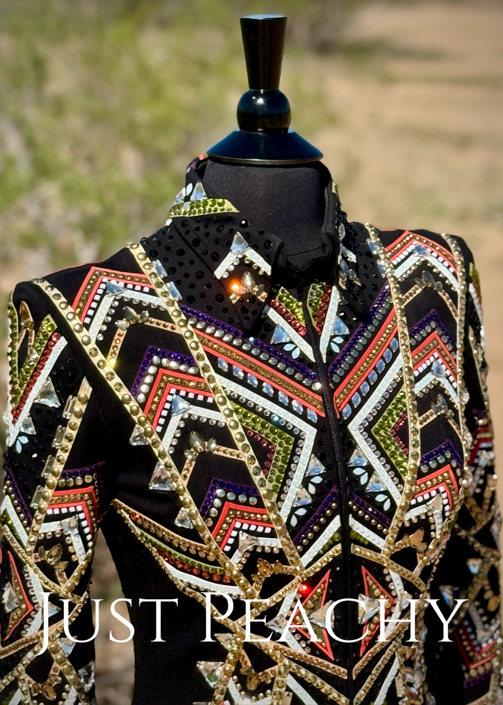 Sonder Avenue western showmanship jacket