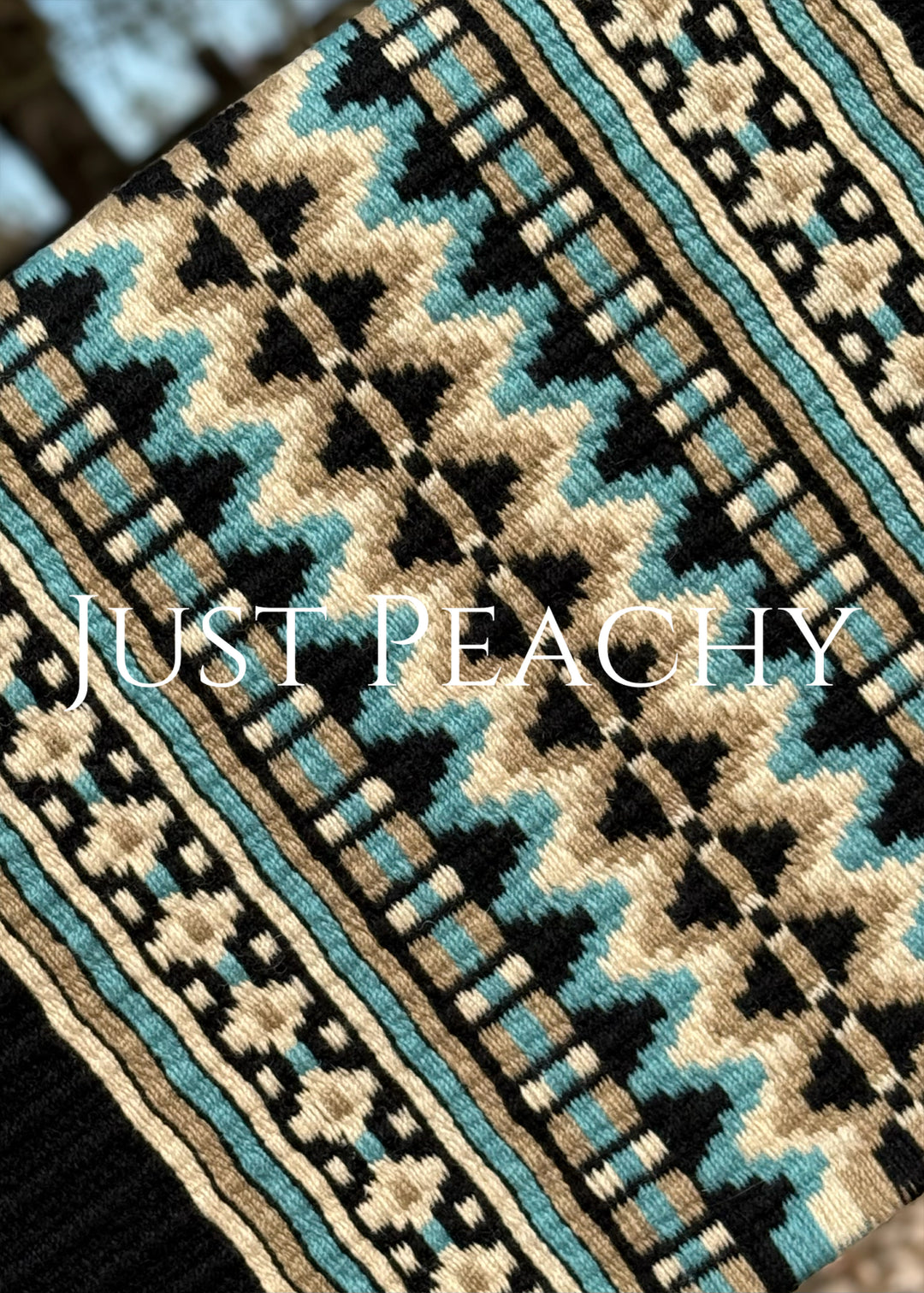 Just Peachy oversized western show blanket in tans and turquoise