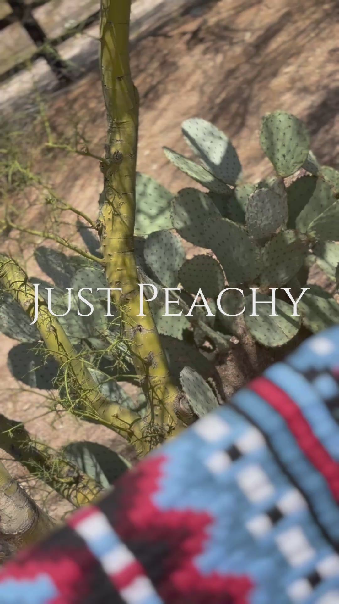 Just Peachy Western Show Blanket ~ The 3.0 Kaycee #0020