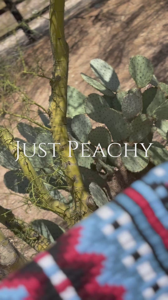 Just Peachy Western Show Blanket ~ The 3.0 Kaycee #0020