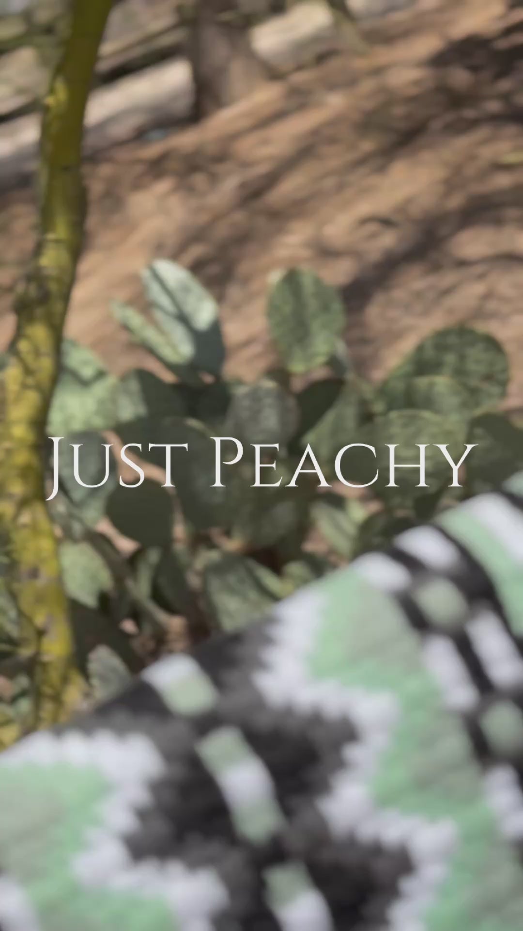 Just Peachy Western Show Blanket ~ The 2.0 Kaycee #0015