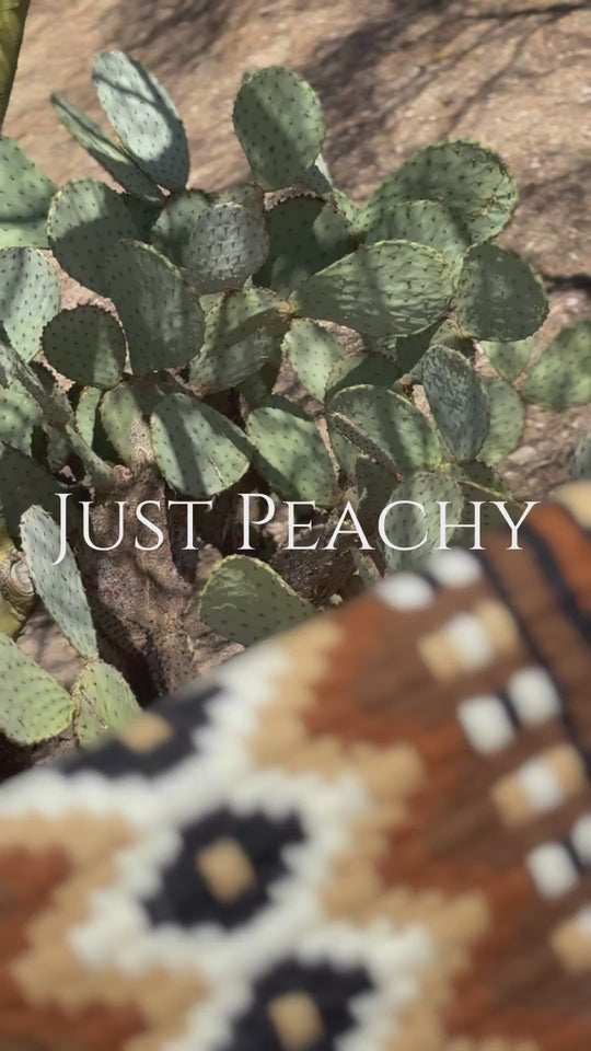 Just Peachy Western Show Blanket ~ The 3.0 Kaycee #0026