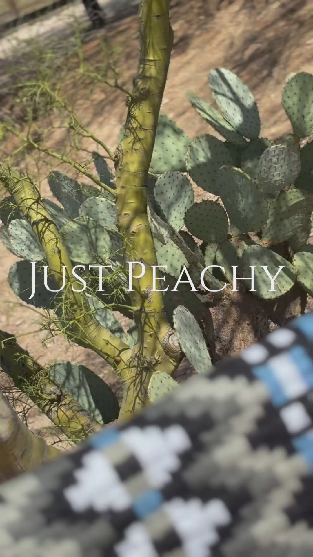 Just Peachy Western Show Blanket ~ The 3.0 Kaycee #0029