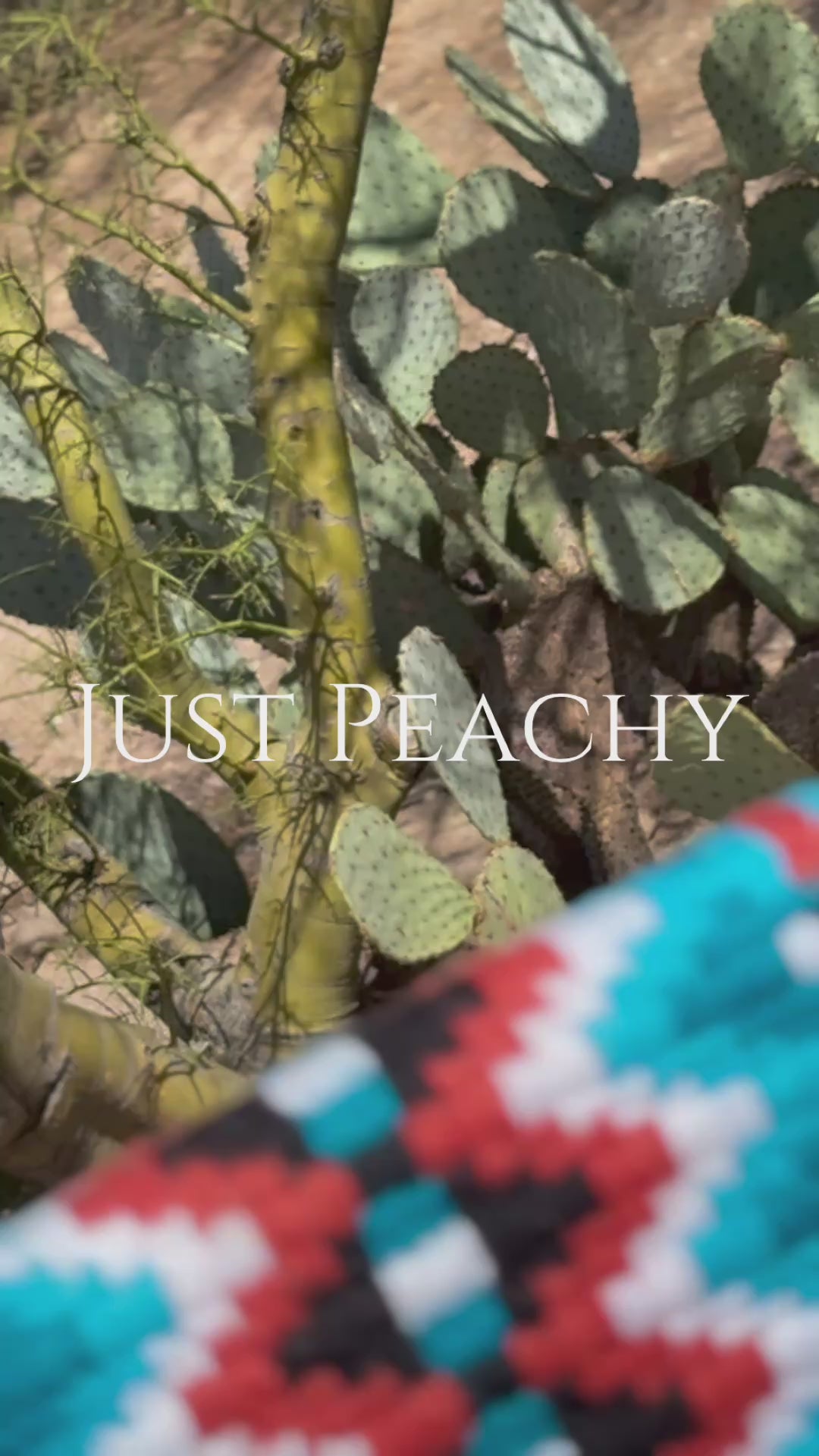 Just Peachy Western Show Blanket ~ The 3.0 Kaycee #0022