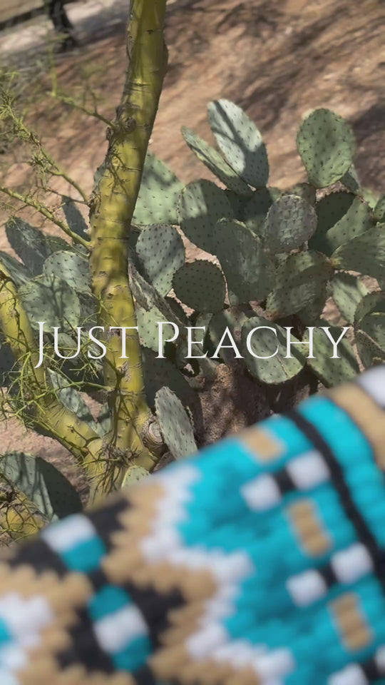 Just Peachy Western Show Blanket ~ The 3.0 Kaycee #0021