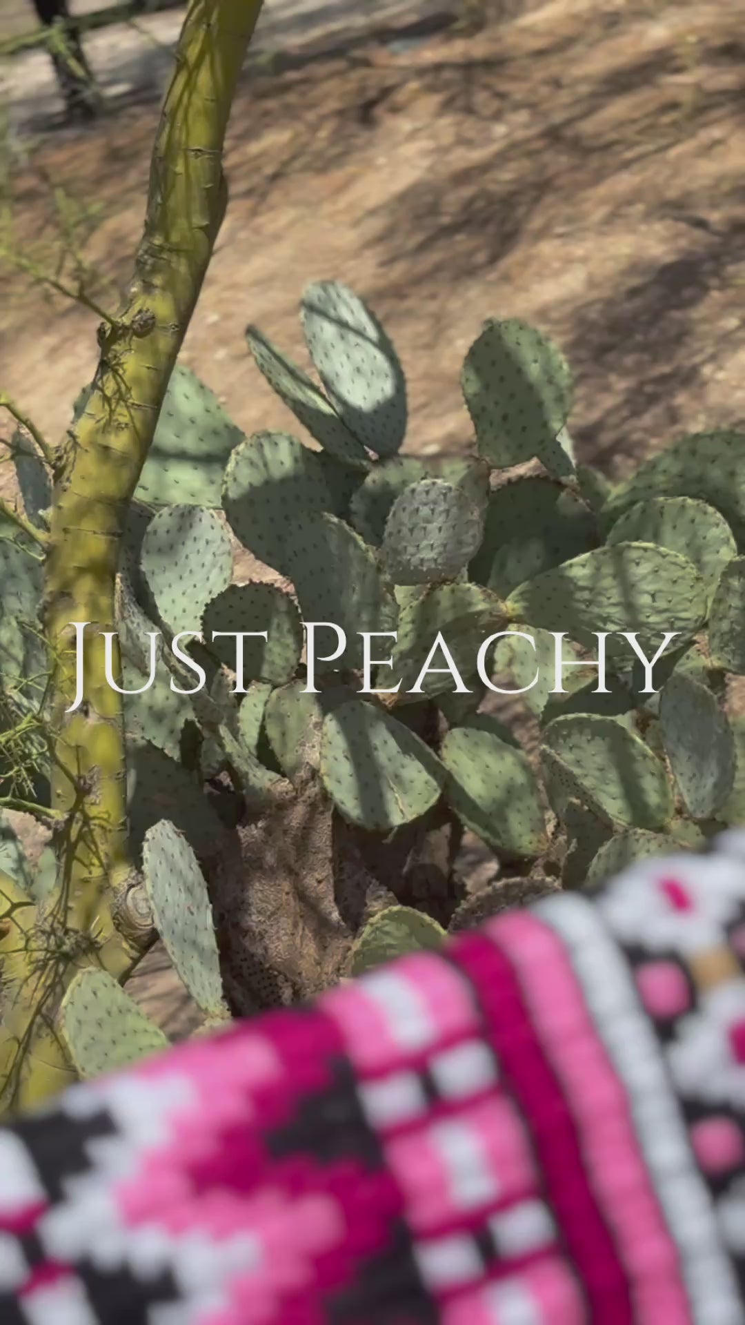 Just Peachy Western Show Blanket ~ The 3.0 Kaycee #0028