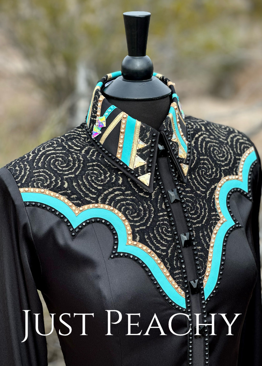 Ultimate Show Apparel ~ Diane Olsen {Large}