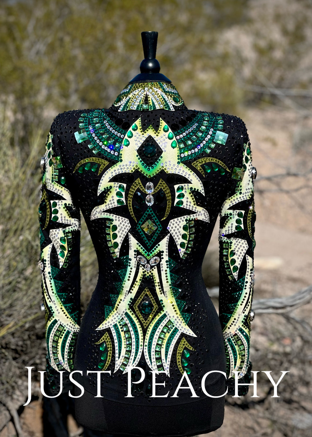 Lindsey James Show Clothing {Small}