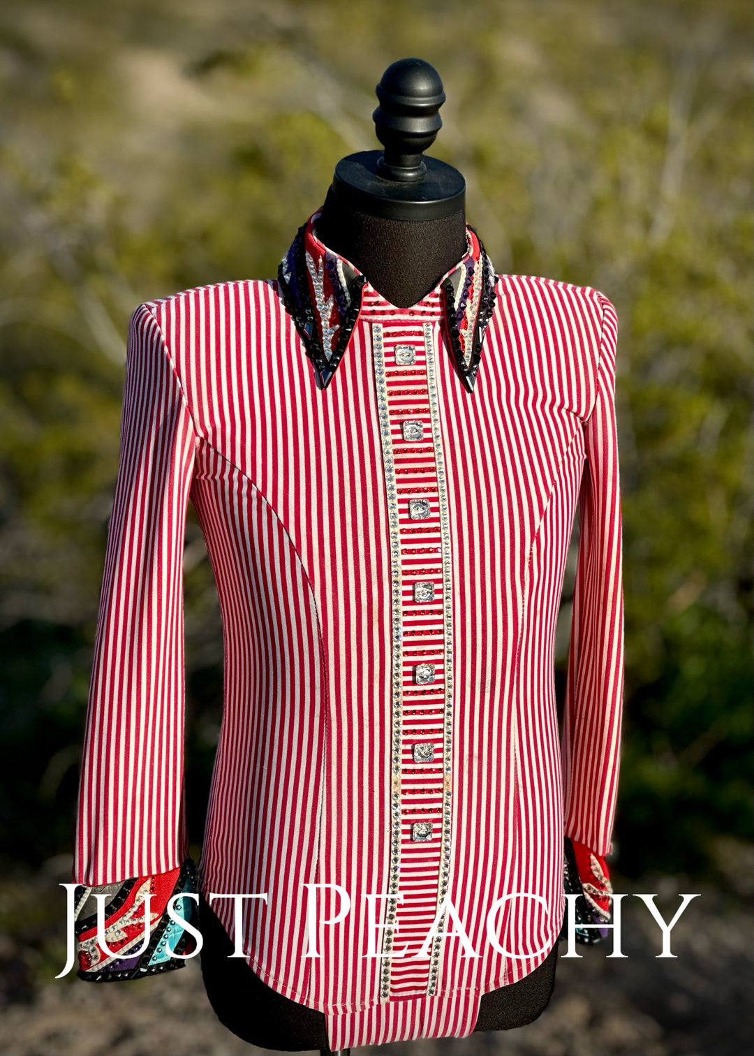 Lindsey James Show Clothing {Youth Medium}